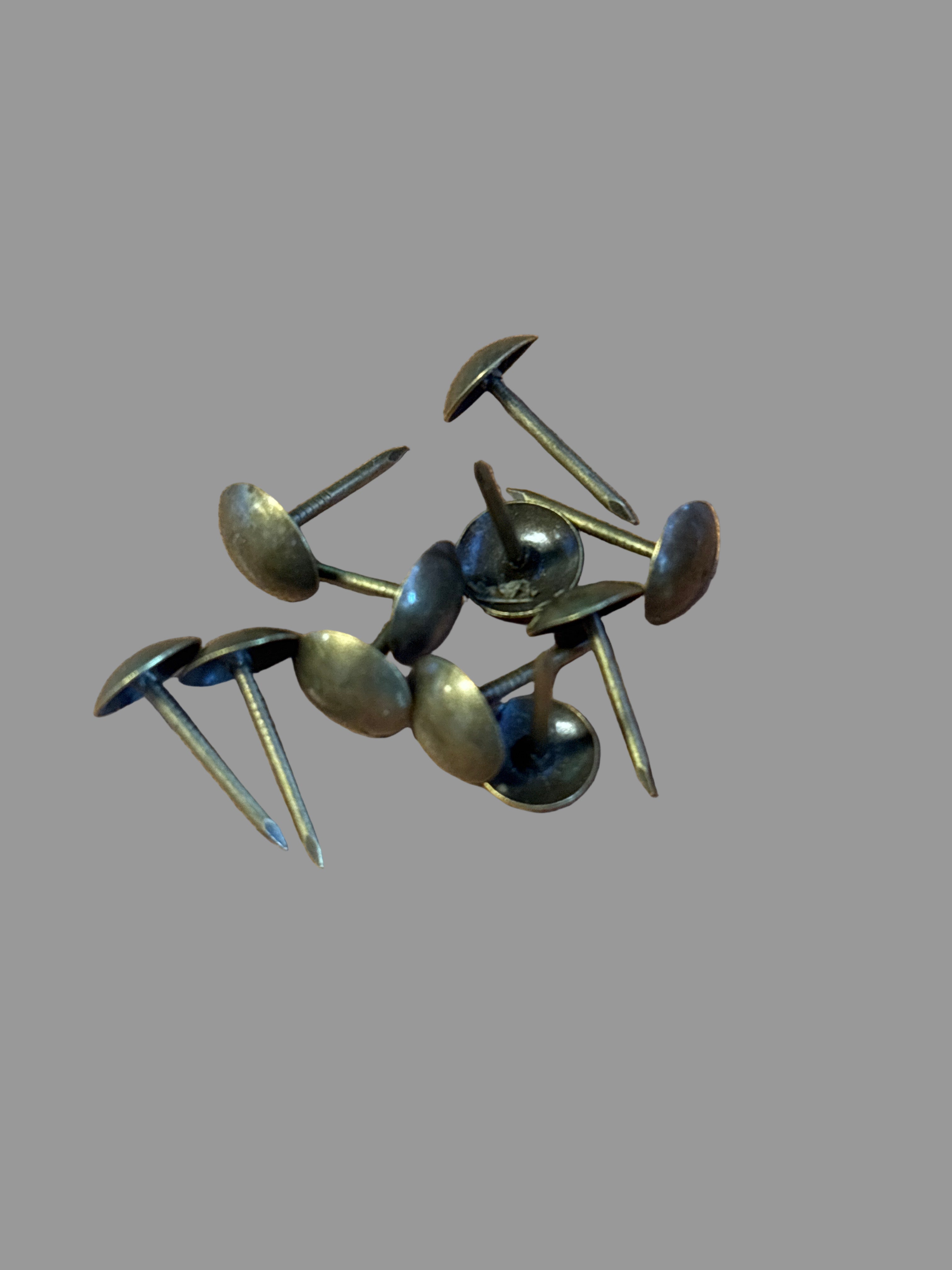 Small Brass Chair Nails with Rounded Head Box 300 units – Decorative Upholstery Tacks for Furniture & Leather | Habto Leather House