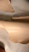 Maryam Vaccheta 1/2 av cavallo - Horse Shoulder